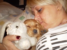 Fotos de perros